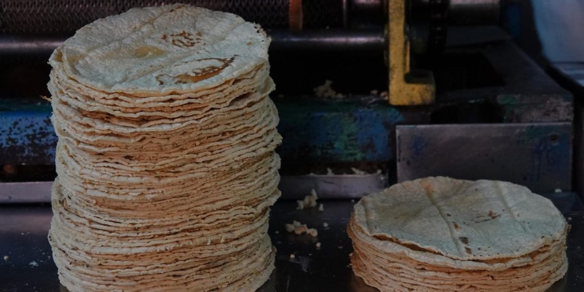 Gobierno de México anuncia acuerdo para estabilizar y reducir el precio de la tortilla