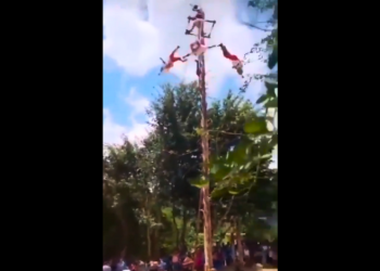 Se accidentan 5 voladores de Papantla en Veracruz; se rompe el mástil