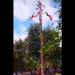 Se accidentan 5 voladores de Papantla en Veracruz; se rompe el mástil