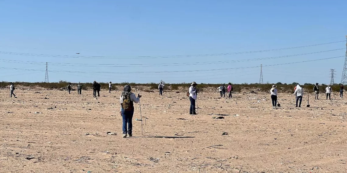 Localizan 12 osamentas en Sonoyta tras rastreo de colectivos de búsqueda