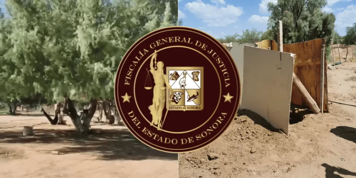 Buscadoras hallan fosa clandestina con varios cuerpos enterrados en Hermosillo