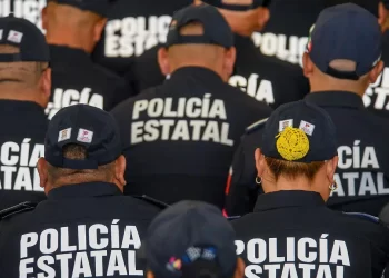 En México asesinan en promedio a un polícia al día: Causa en Común