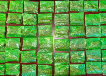 Más de 50 envoltorios de narcótico asegurados en operativos del Gobierno de Sonora en Hermosillo