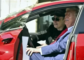 Se desploma Tesla más de 14% tras disputa Musk-Trump