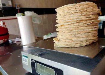 Ven difícil congelar precio de la tortilla