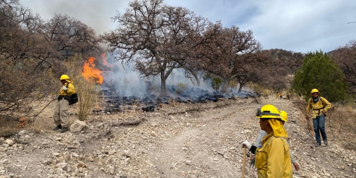 Gobierno de Sonora informa control total de incendios forestales en el estado