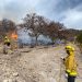 Gobierno de Sonora informa control total de incendios forestales en el estado