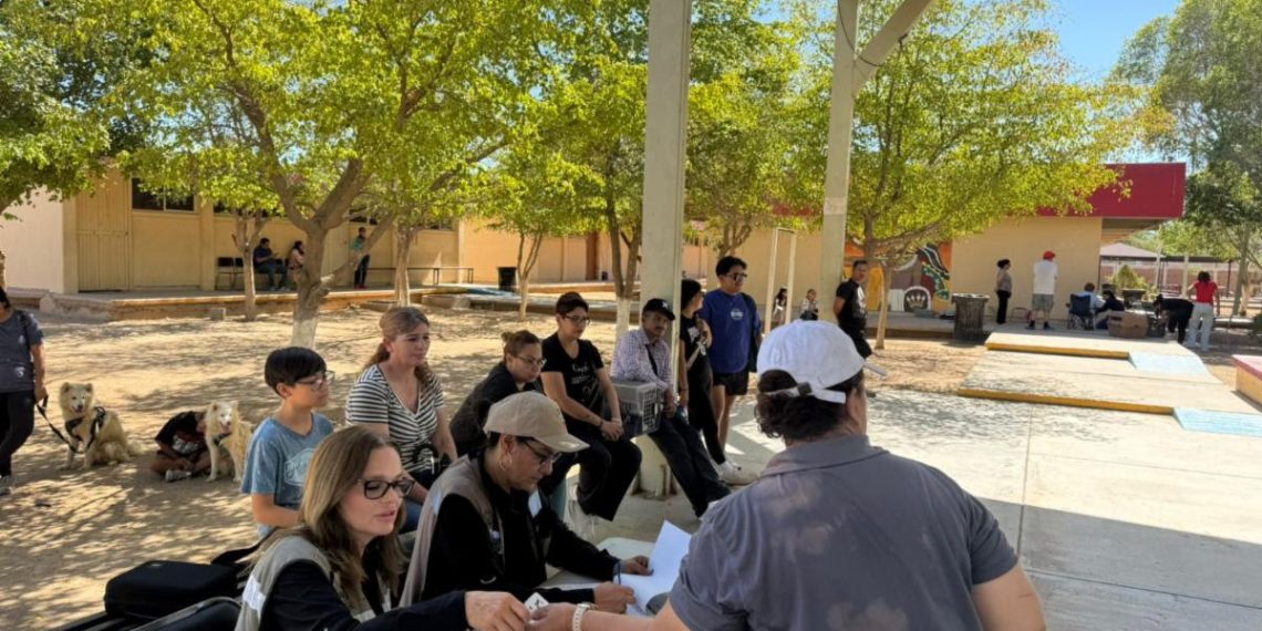 Asegura Gobierno de Sonora armas de réplica, narcótico y equipo de comunicación en Hermosillo