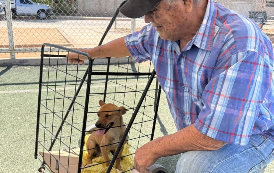 Lleva Gobierno de Sonora jornada de salud para animales de compañía a colonia de Hermosillo