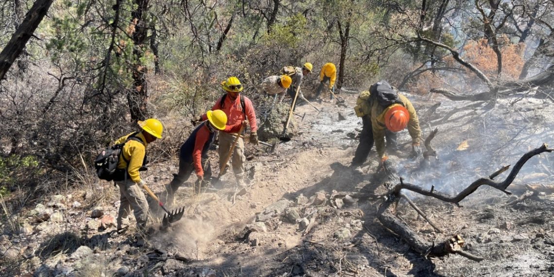 Gobierno de Sonora combate incendio forestal en Agua Prieta