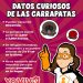 Trabaja Gobierno de Sonora en acciones preventivas contra la rickettsiosis