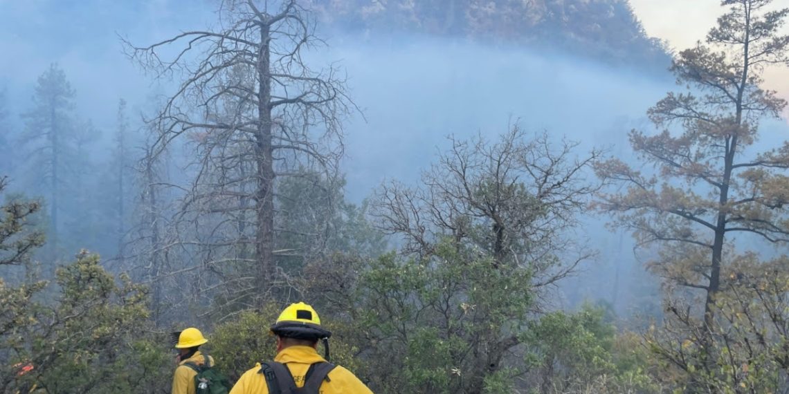 Gobierno de Sonora logra importante avance en el control y liquidación del incendio forestal en Agua Prieta