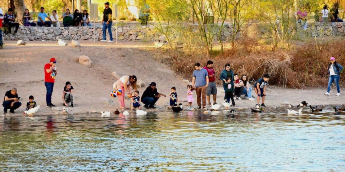 Gobierno de Sonora invita a vivir la naturaleza y el esparcimiento en familia en La Sauceda este fin de semana