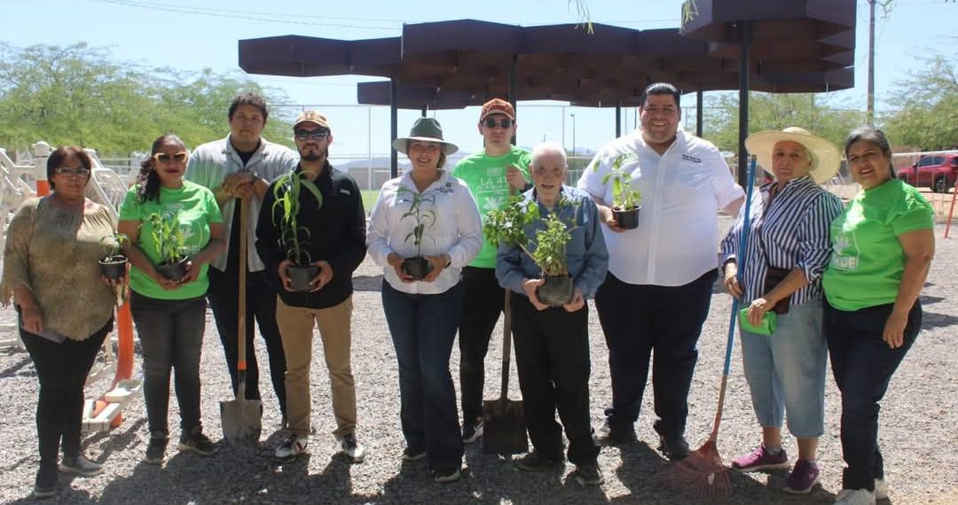Activa Partido Verde jornadas de limpieza y reforestación en Hermosillo