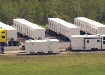 Mexicanos en “Alcatraz Alligator” no están incomunicados: SRE