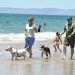 Disfrutan hermosillenses y visitantes la playa de Bahía de Kino este periodo vacacional