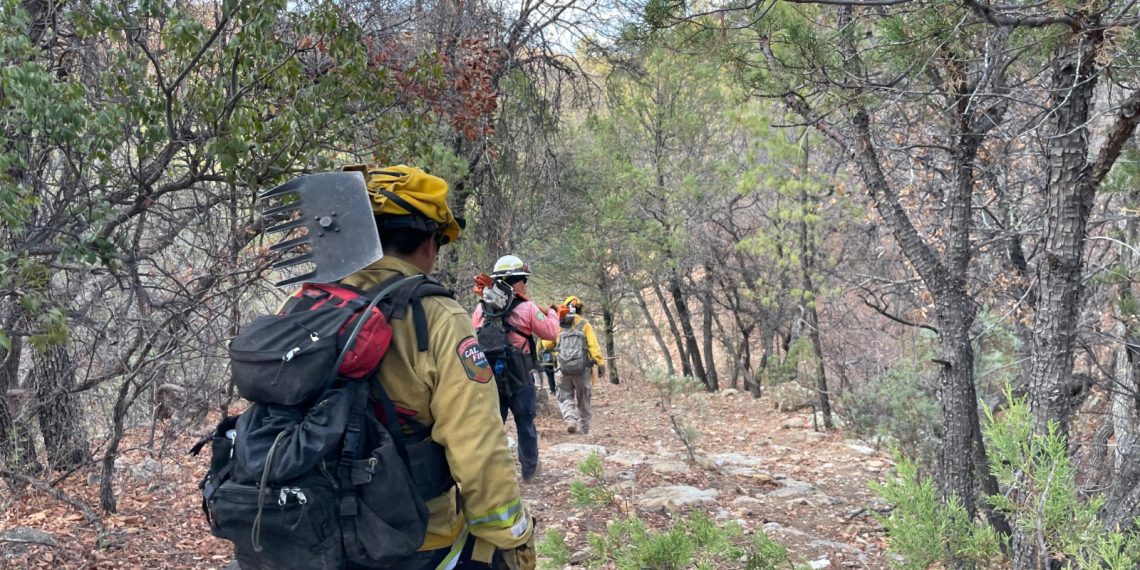 Avanza Gobierno de Sonora en control de incendio forestal en la Sierra Los Ajos