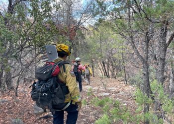 Avanza Gobierno de Sonora en control de incendio forestal en la Sierra Los Ajos