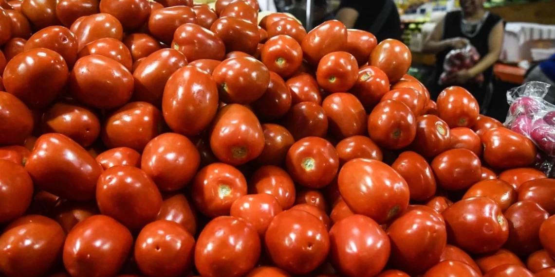 Arancel de EU, golpe letal para tomate de San Quintín: Centro de Estudios Económicos de BC