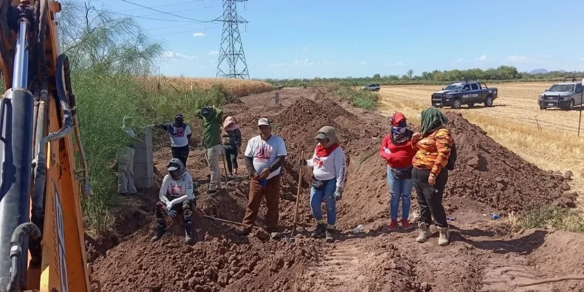 Identifican 14 de 26 osamentas halladas en predio agrícola de Cajeme