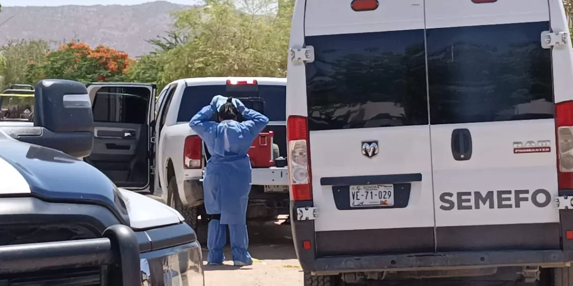 Ataque armado en carrera de caballos en Ciudad Obregón deja dos muertos y un herido