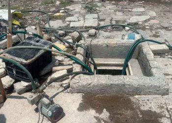 Ganan ¡mil mdp al año! con venta de ‘aguachicol’