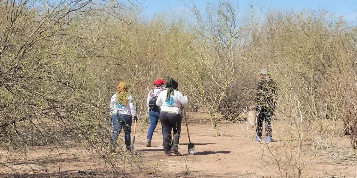 ¡Me dueles Hermosillo! Ejecutan a tres niñas