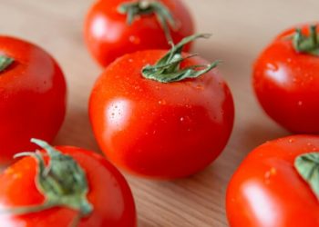 Por aranceles, baja 11% precio del jitomate saladet en México