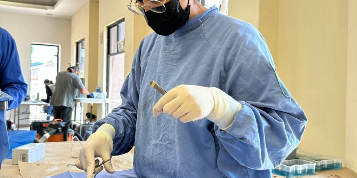 Gobierno de Sonora brinda servicios de esterilización en beneficio de animales de compañía en Sahuaripa