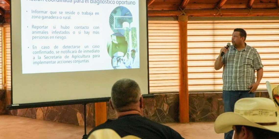 Gobierno de Sonora fortalece acciones de prevención contra el gusano barrenador en la entidad