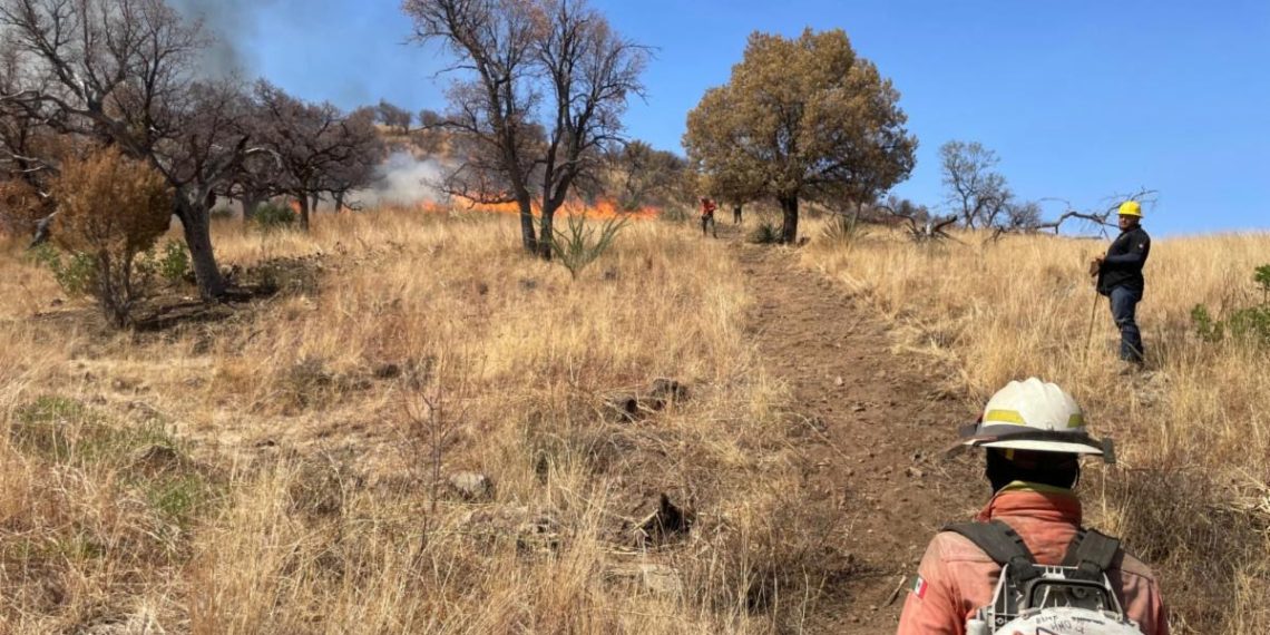 Gobierno de Sonora logra liquidación total del incendio forestal en la Sierra Los Ajos