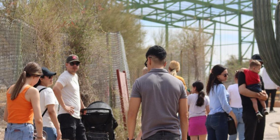 Invita Gobierno de Sonora a disfrutar un verano educativo y natural en el Centro Ecológico de Sonora