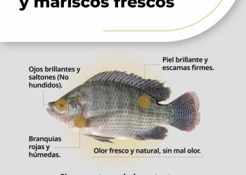 Invita Gobierno de Sonora a consumir mariscos de forma segura durante la temporada de calor