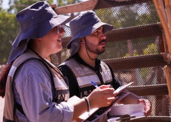 Gobierno de Sonora intensifica acciones de prevención contra el dengue en todo el estado