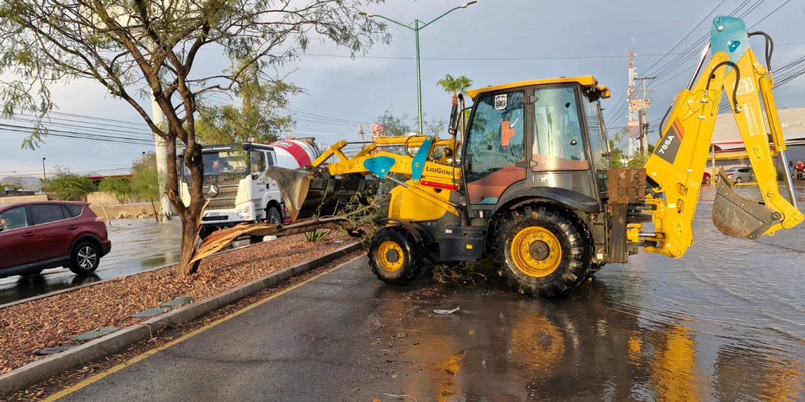 Atiende Protección Civil Municipal 57 reportes por lluvias y vientos en Hermosillo