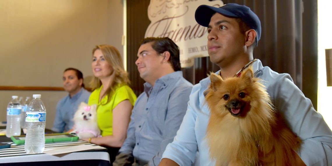 Pasarela, música y mucha diversión te esperan en la Víactiva Canina este domingo