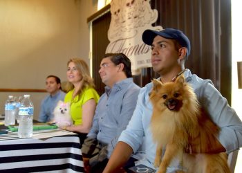 Pasarela, música y mucha diversión te esperan en la Víactiva Canina este domingo