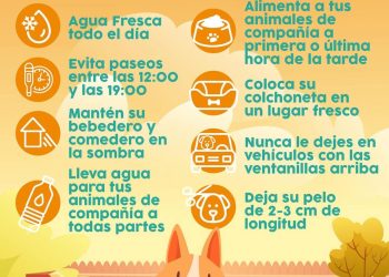 Recomienda IMPBA medidas para proteger a animales de compañía ante el calor