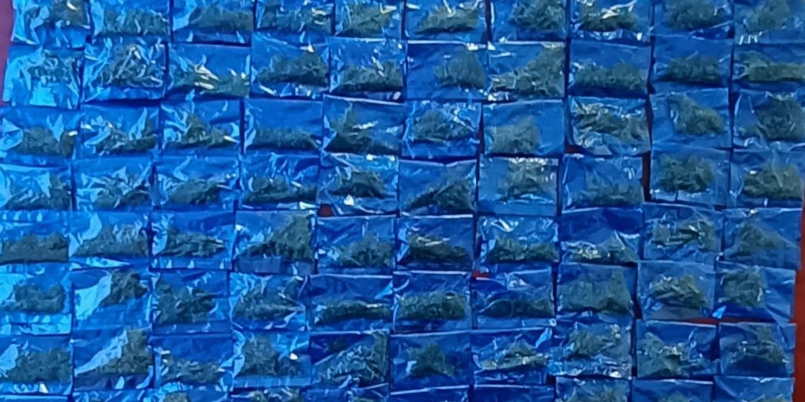 Asegura Gobierno de Sonora más de 100 envoltorios de narcótico en Hermosillo