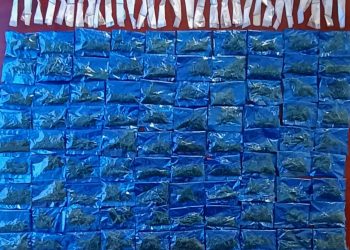 Asegura Gobierno de Sonora más de 100 envoltorios de narcótico en Hermosillo