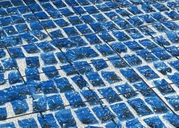 Registra Gobierno de Sonora más de 54 mil envoltorios de narcótico asegurados en operativo de la Policía Estatal