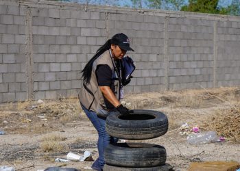 Gobierno de Sonora y municipios refuerzan acciones contra el dengue