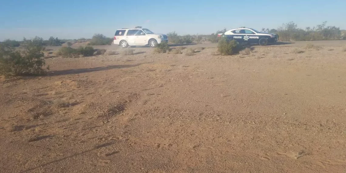 Encuentran cuerpo con signos de violencia en la carretera del Ejido Islita de S.L.R.C.