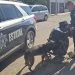 Más de 50 mil dosis de narcótico asegurado en operativos del Gobierno de Sonora en municipios