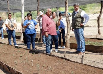 Impulsa Presidenta Sheinbaum al campo sonorense con Sembrando Vida; van más de 245 millones de pesos este año: Octavio Almada