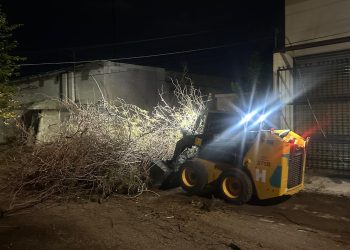 Atiende Protección Civil Municipal 35 reportes por fuertes vientos en Hermosillo