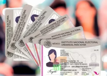 Destruye INE Sonora más de 6 mil Credenciales para Votar