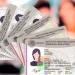 Destruye INE Sonora más de 6 mil Credenciales para Votar