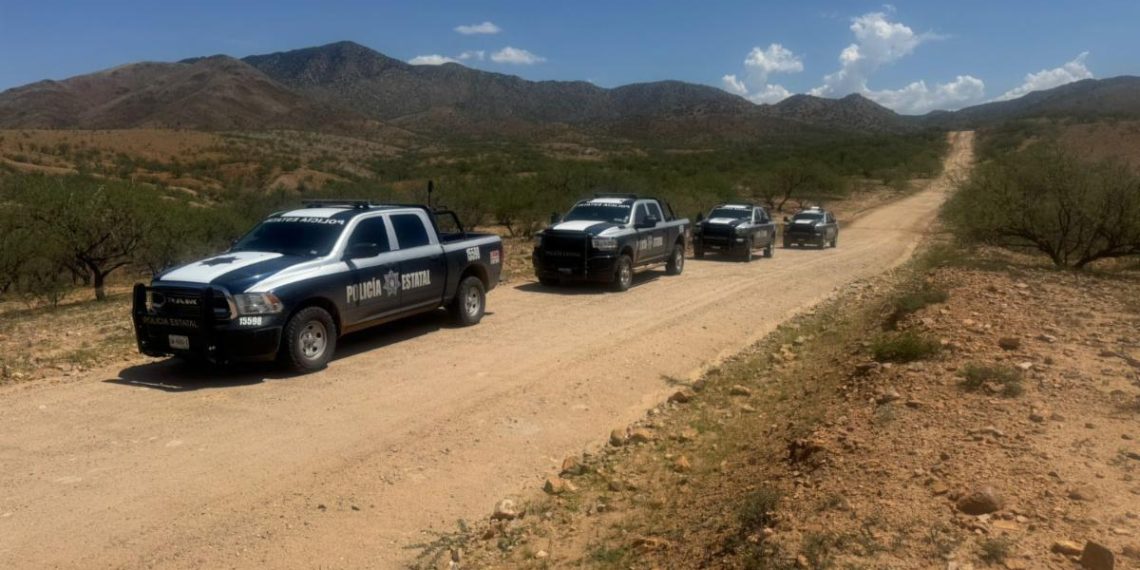 Más de 440 personas y 223 mil 413 envoltorios asegura operativo del Gobierno de Sonora en municipios