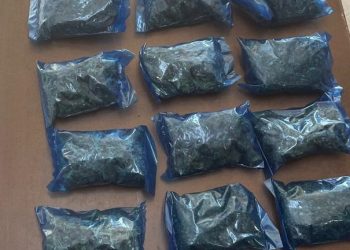 Registra Gobierno de Sonora detenciones en acciones operativas del Mando Único en San Luis Río Colorado